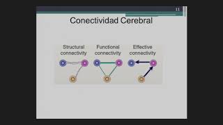 Espectroscopía cerebral del infrarrojo cercano NIRS [upl. by Pimbley]