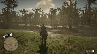 57 Reddish Egret location RDR2 [upl. by Irrahs563]