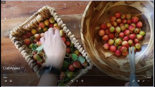 HOW TO PICKLED CRABAPPLES amp SWEET and SPICY CRABAPPLES Two of my favorite finger foods for Autumn👌👌 [upl. by Gruber]