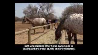 Eko Ondersoek  African Horse Sickness [upl. by Sander]