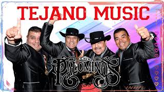 Los Palominos Mega Mix  Grandes Éxitos Inmortales  Tejano Music  Norteños Mix 2022 [upl. by Yenolem873]