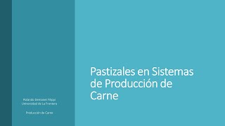 Pastizales en sistemas de producción de carne [upl. by Dam]