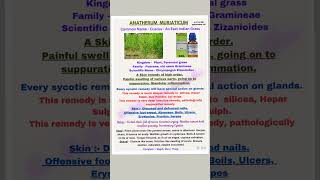 Anatherum Muriaticum rare Homoeo medicine for Skin deeper than Hepar SulphurSiliceadrpriti [upl. by Demmy]