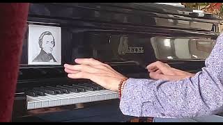 F Chopin Nocturne Op 15 no 3 in G minor [upl. by Aihtiekal]