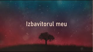 Izbavitorul meu Lyrics  LuminaLumii Worship [upl. by Thinia]