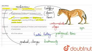 Evolution of horse from Hyracotherium involved [upl. by Aggappe]