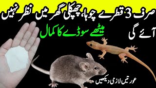 Chipkali bhagane ka tarika  Chipkali marne ka tarika  get rid of mouse  quick Rat killer Trick [upl. by Nivrek]