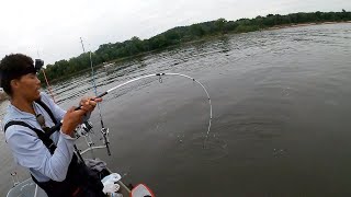 Wisconsin Sturgeon Fishing We Hooked Some GIANTS [upl. by Gertrudis]