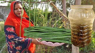 सहजन का अचार बनाने का ऐसा नया तरीका कि महीनों तक खराब नहीं होगा  TASTY DRUMSTICK PICKLE RECIPE [upl. by Atnwahsal]