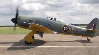 Hawker Sea Fury  Power of the Centaurus [upl. by Fem]