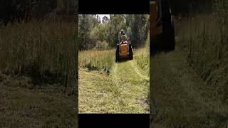 Fast Mowing Overgrown Wet Grass [upl. by Talbot]