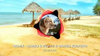 Remix  LIMBO amp PEPAS amp DANZA KUDURO DJ MLUC [upl. by Adnilram223]