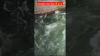 Beautiful view of Somasila Dam Water Flow😍❤️ Inflow amp Outflow details of Today viralvideo shorts [upl. by Eiramac]