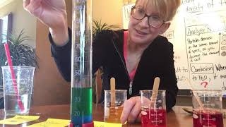 Salinity vs Density Experiment [upl. by Tacye693]