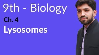 9th Class Biology  Chapter 4  Lysosomes [upl. by Ehrsam]