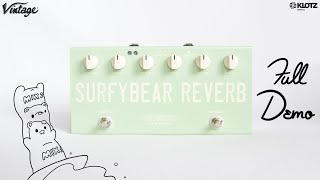 Surfy Industries SurfyBear Compact Reverb DEMO  All Analog Spring Tank 2 Channels  Guitar amp Bass [upl. by Iliam824]