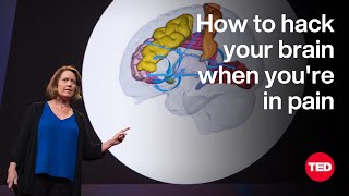 How to Hack Your Brain When Youre in Pain  Amy Baxter  TED [upl. by Giesecke]