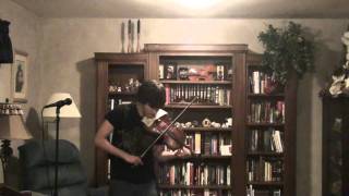 Through the Fire and Flames  Metal Violin Cover [upl. by Ludlew]