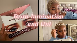 Brow Lamination And Tint Tutorial fromSHEINOFFICIAL [upl. by Idyak]