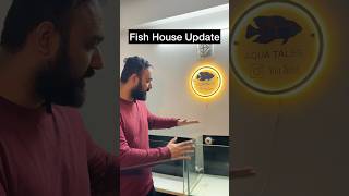 Fish House Update Setting Up 6 New Tanks [upl. by Leban]