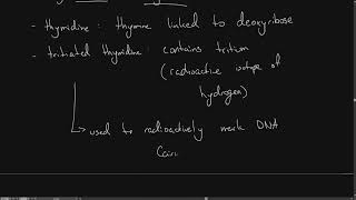 IB Bio 32 Chromosomes appskills 1  Cairns technique Autoradiography Tritiated Thymidine [upl. by Ricardo]