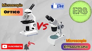 🔬MICROSCOPIO ÓPTICO VS MICROSCOPIO ESTEREOSCOPICO  El rincón biológico💚 [upl. by Gayn]