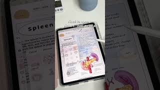 Musttry Kilonotes update How KSwitch Unleashes Your Productivity kilonotes study journal plan [upl. by Coffey]