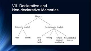 Cognition Lecture 5 1 Introduction to Longer Term Memories [upl. by Boesch]