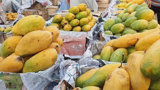 Mango Street in Islamabad fruit Mandi  Daily mango update  daily fruit mandi update [upl. by Howland505]