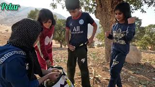 Fascinating experience for children collecting acorns from trees [upl. by Nomrej]