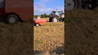 HAYTIME 24 Super Massey 6475 Tractor  Welger RP 650 small hay Baler 240625 haytime [upl. by Lledal543]