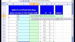 Excel Magic Trick 111 Build A Questionnaire [upl. by Copland]