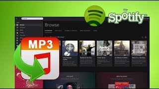 how to download music amp playlist from Spotify To mp3 [upl. by Atined152]