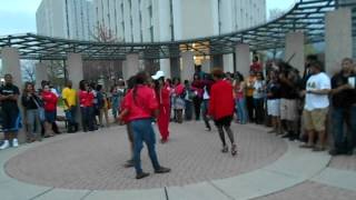 Delta Sigma Theta Chant at NPHC Chant Off NIU [upl. by Katlin909]