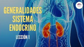 1 GENERALIDADES DEL SISTEMA ENDOCRINO FISIOLOGÍA DEL SISTEMA ENDOCRINO [upl. by Ermina972]