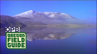 Mount St Helens Remains A Mystery to Ecologists  Oregon Field Guide [upl. by Mont542]