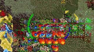 Tibia SLEEPERS PELORIA WAR MATT REAPERS die 1160 MS [upl. by Adelia]