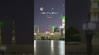 Islamic Status 🕋💚 shorts short video viralvideo viralshorts youtubeshorts trending love fyp [upl. by Beebe]