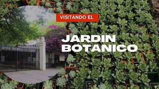 Jardín Botánico Plan de la laguna El Salvador Tours EXPLORACIÓN [upl. by Kirenoj]