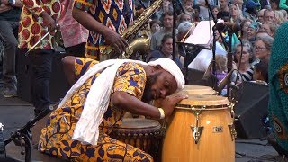 Gyedu Blay Ambolley amp Sekondi Band  E day walk for Ground  LIVE at Afrikafestival Hertme 2019 [upl. by Helve]