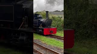 Gelert runs around its train at Porthmadog WHHR on the 210824 [upl. by Enitsirhc852]