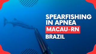 🎣 SPEARFISHING IN APNEA  MACAURN BRAZIL 🌊🐟 spearfishing fishing submarinefishing [upl. by Howarth]