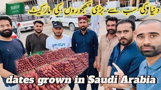 Saudi Arabia 🇸🇦 world’s largest dates market [upl. by Willette87]