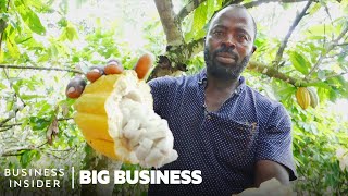 Ghana Grows Our Cocoa So Why Can’t It Make Chocolate  Big Business [upl. by Isabelle226]