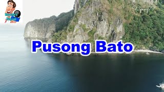 Pusong Bato  Renee quotAlonquot dela Rosa  Karaoke Version [upl. by Esetal]