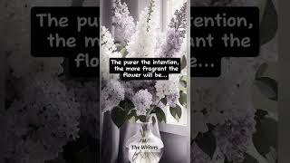 Fragrant flowersThe Writers shorts shortvideo foryou flowers goodvibes quotes [upl. by Illac]