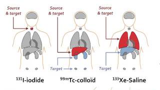 IAEAEANM webinar  Basic Radiopharmaceutical Dosimetry  Basic Nuclear Medicine webinars series [upl. by Eerb]