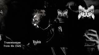 Devouring Famine  Hybris full album 2024 [upl. by Nraa]