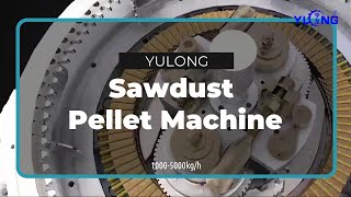 High Efficient Sawdust Pellet Machine Yulong XGJ560 2021 NEWEST [upl. by Medorra]