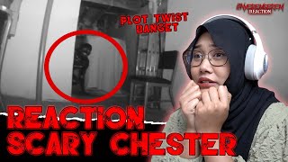 INI VIDEO quotSCARY CHESTERquot PALING PLOT TWIST  nyeremserem reaction [upl. by Anovahs624]